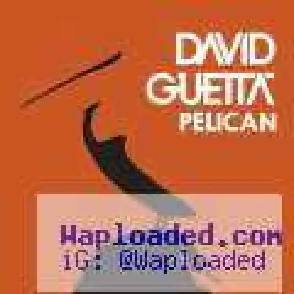 David Guetta - Pelican (CDQ)